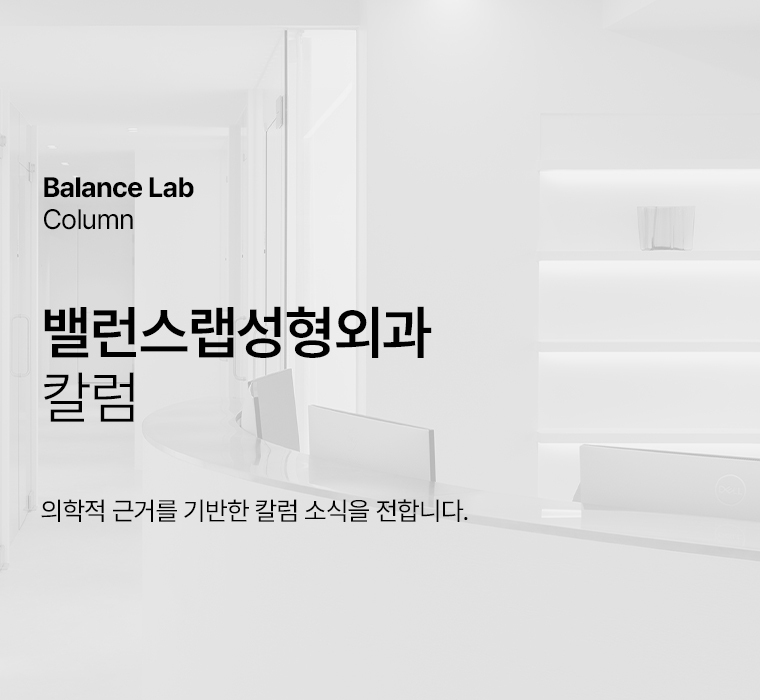 밸런스랩 칼럼