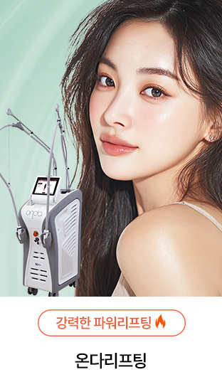 전체보기