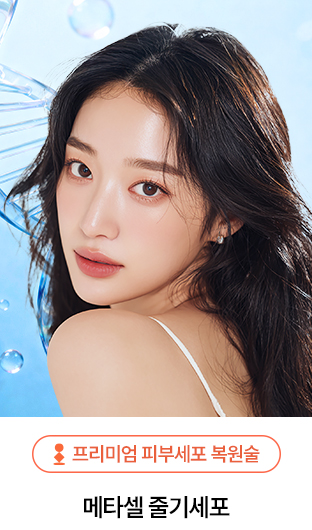 전체보기